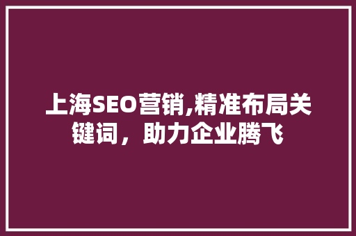 上海SEO营销,精准布局关键词，助力企业腾飞