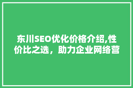 东川SEO优化价格介绍,性价比之选，助力企业网络营销