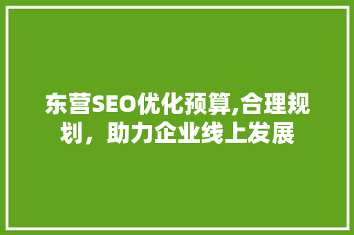 东营SEO优化预算,合理规划，助力企业线上发展