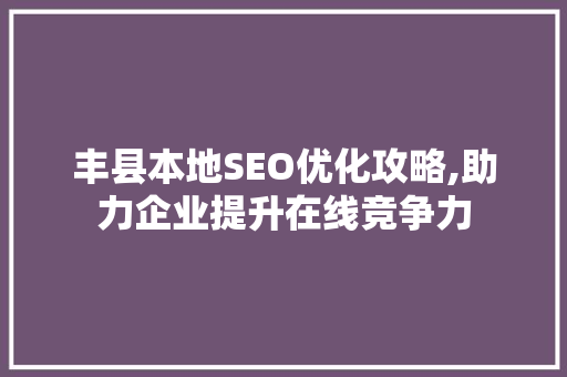 丰县本地SEO优化攻略,助力企业提升在线竞争力