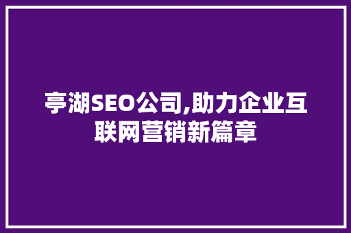 亭湖SEO公司,助力企业互联网营销新篇章