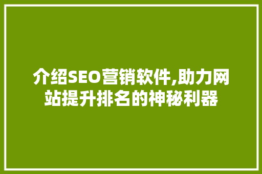 介绍SEO营销软件,助力网站提升排名的神秘利器
