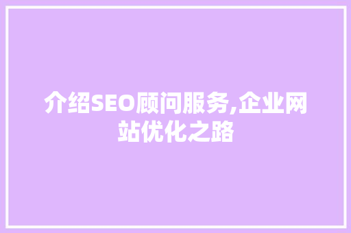 介绍SEO顾问服务,企业网站优化之路