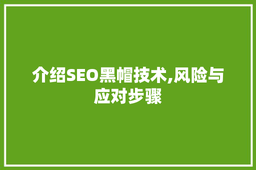 介绍SEO黑帽技术,风险与应对步骤