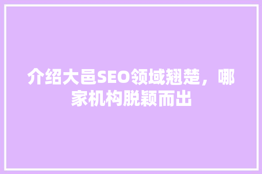 介绍大邑SEO领域翘楚，哪家机构脱颖而出