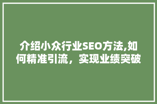 介绍小众行业SEO方法,如何精准引流，实现业绩突破