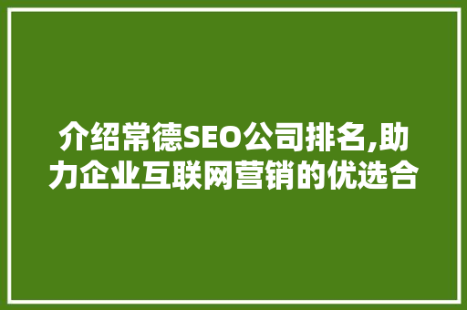 介绍常德SEO公司排名,助力企业互联网营销的优选合作伙伴
