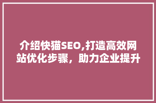 介绍快猫SEO,打造高效网站优化步骤，助力企业提升品牌影响力