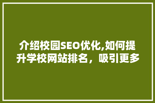 介绍校园SEO优化,如何提升学校网站排名，吸引更多优质生源