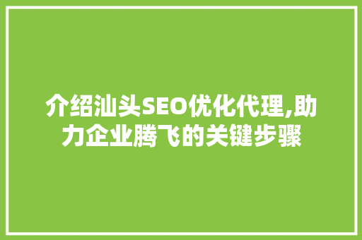 介绍汕头SEO优化代理,助力企业腾飞的关键步骤