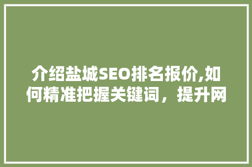 介绍盐城SEO排名报价,如何精准把握关键词，提升网站流量