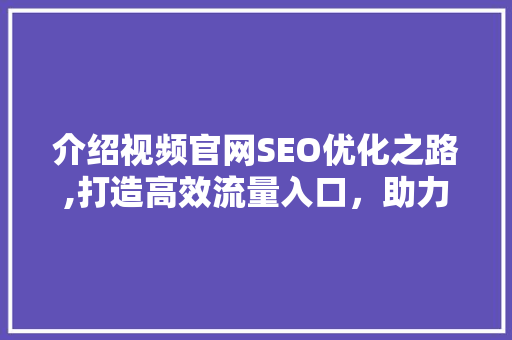 介绍视频官网SEO优化之路,打造高效流量入口，助力品牌腾飞