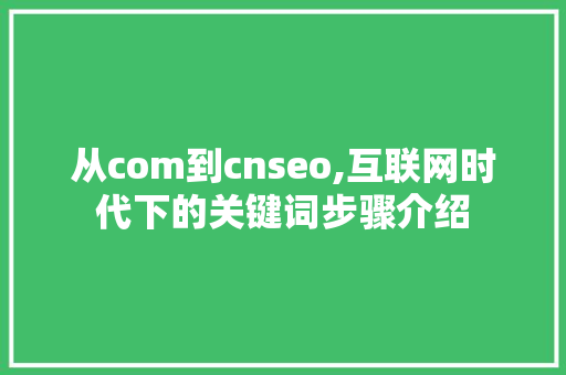 从com到cnseo,互联网时代下的关键词步骤介绍