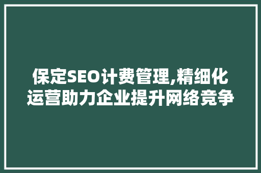 保定SEO计费管理,精细化运营助力企业提升网络竞争力