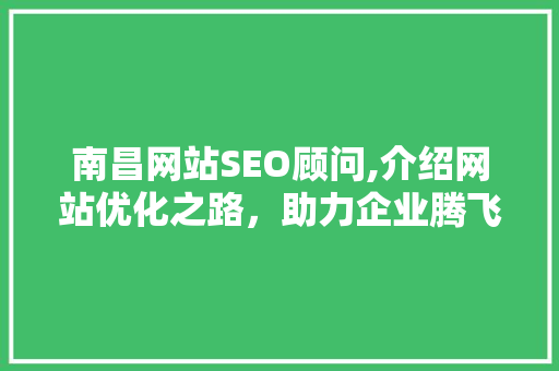 南昌网站SEO顾问,介绍网站优化之路，助力企业腾飞