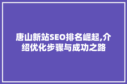 唐山新站SEO排名崛起,介绍优化步骤与成功之路