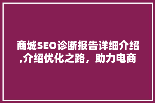 商城SEO诊断报告详细介绍,介绍优化之路，助力电商腾飞