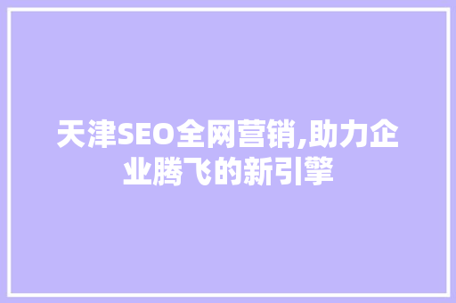 天津SEO全网营销,助力企业腾飞的新引擎