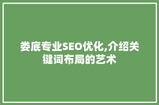 娄底专业SEO优化,介绍关键词布局的艺术