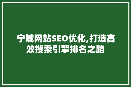 宁城网站SEO优化,打造高效搜索引擎排名之路