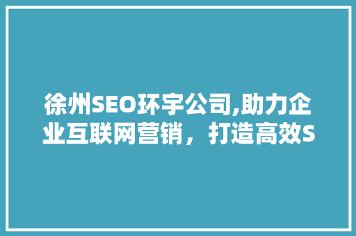 徐州SEO环宇公司,助力企业互联网营销，打造高效SEO解决方法