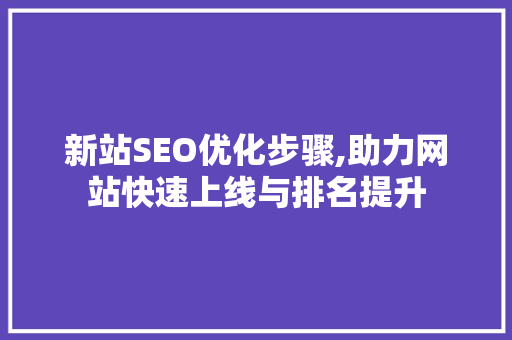 新站SEO优化步骤,助力网站快速上线与排名提升