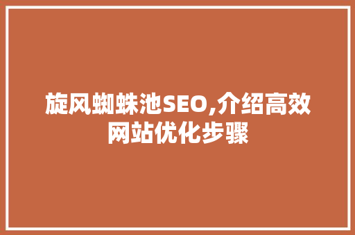 旋风蜘蛛池SEO,介绍高效网站优化步骤