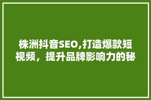 株洲抖音SEO,打造爆款短视频，提升品牌影响力的秘密武器