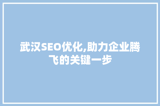 武汉SEO优化,助力企业腾飞的关键一步