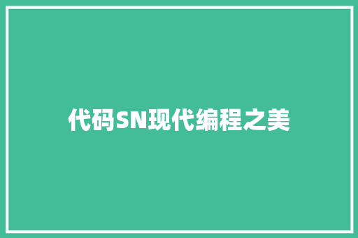代码SN现代编程之美