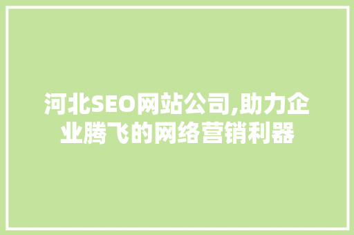 河北SEO网站公司,助力企业腾飞的网络营销利器