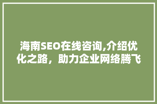 海南SEO在线咨询,介绍优化之路，助力企业网络腾飞