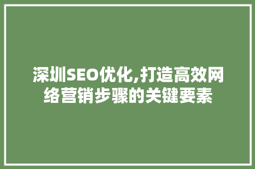 深圳SEO优化,打造高效网络营销步骤的关键要素