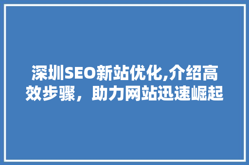 深圳SEO新站优化,介绍高效步骤，助力网站迅速崛起