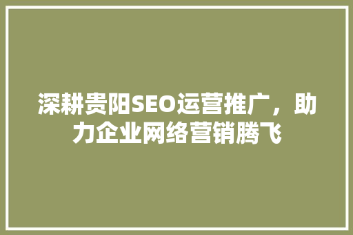 深耕贵阳SEO运营推广，助力企业网络营销腾飞