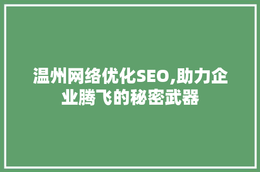 温州网络优化SEO,助力企业腾飞的秘密武器