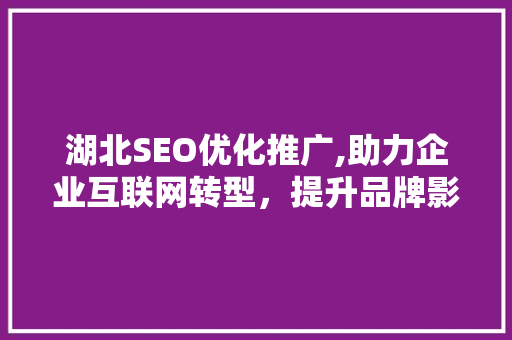 湖北SEO优化推广,助力企业互联网转型，提升品牌影响力