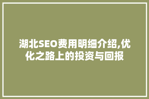 湖北SEO费用明细介绍,优化之路上的投资与回报
