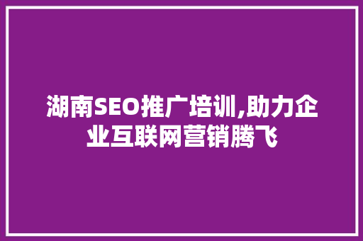 湖南SEO推广培训,助力企业互联网营销腾飞
