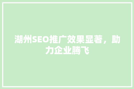 湖州SEO推广效果显著，助力企业腾飞