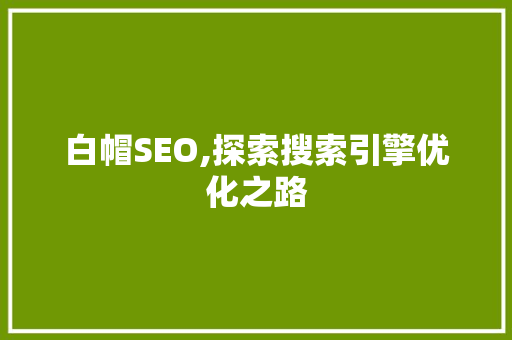 白帽SEO,探索搜索引擎优化之路