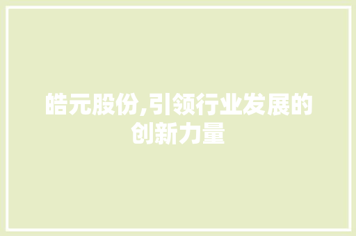 皓元股份,引领行业发展的创新力量