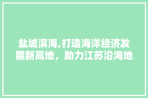 盐城滨海,打造海洋经济发展新高地，助力江苏沿海地区崛起