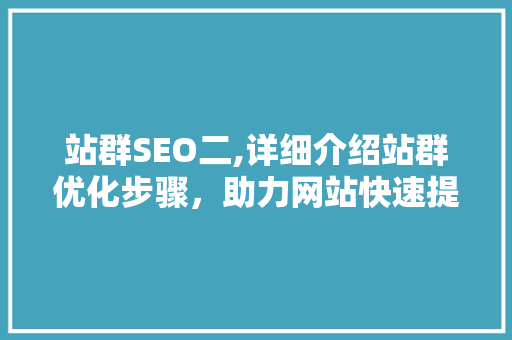 站群SEO二,详细介绍站群优化步骤，助力网站快速提升排名