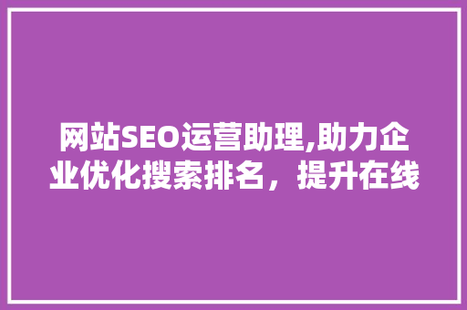 网站SEO运营助理,助力企业优化搜索排名，提升在线竞争力
