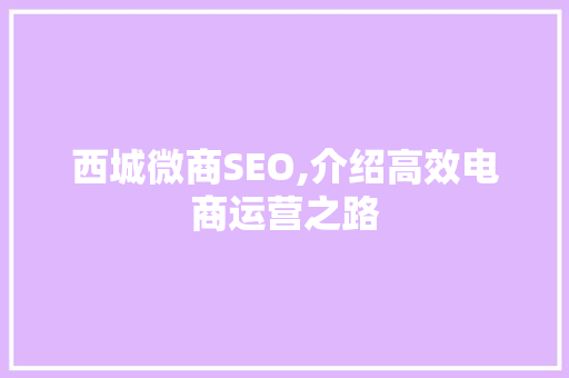 西城微商SEO,介绍高效电商运营之路