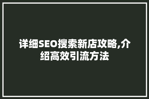 详细SEO搜索新店攻略,介绍高效引流方法