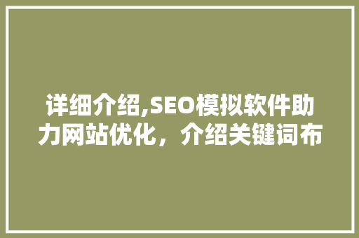 详细介绍,SEO模拟软件助力网站优化，介绍关键词布局的艺术