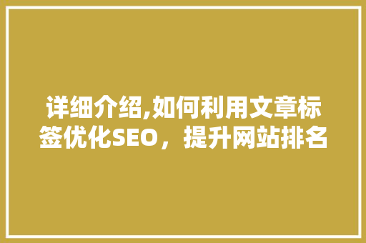详细介绍,如何利用文章标签优化SEO，提升网站排名