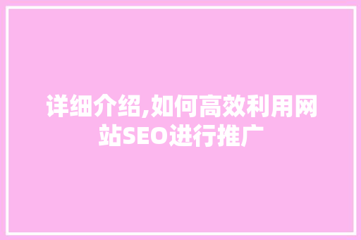 详细介绍,如何高效利用网站SEO进行推广